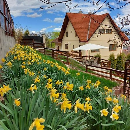 Apartament Matei Brašov Exteriér fotografie