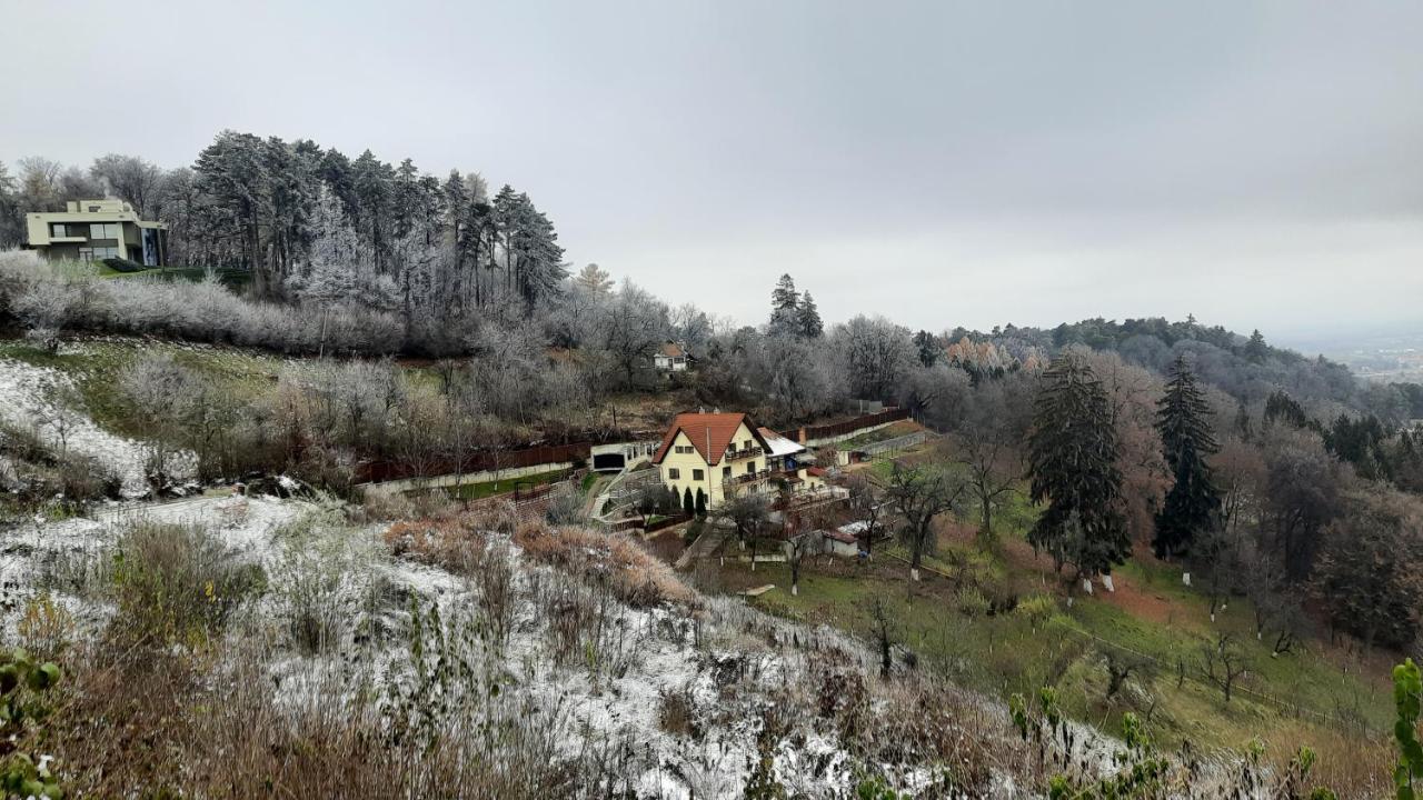 Apartament Matei Brašov Exteriér fotografie