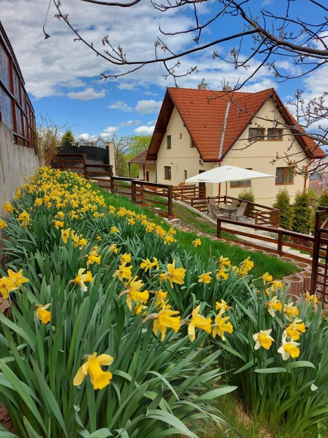Apartament Matei Brašov Exteriér fotografie