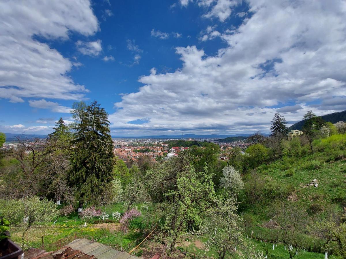 Apartament Matei Brašov Exteriér fotografie
