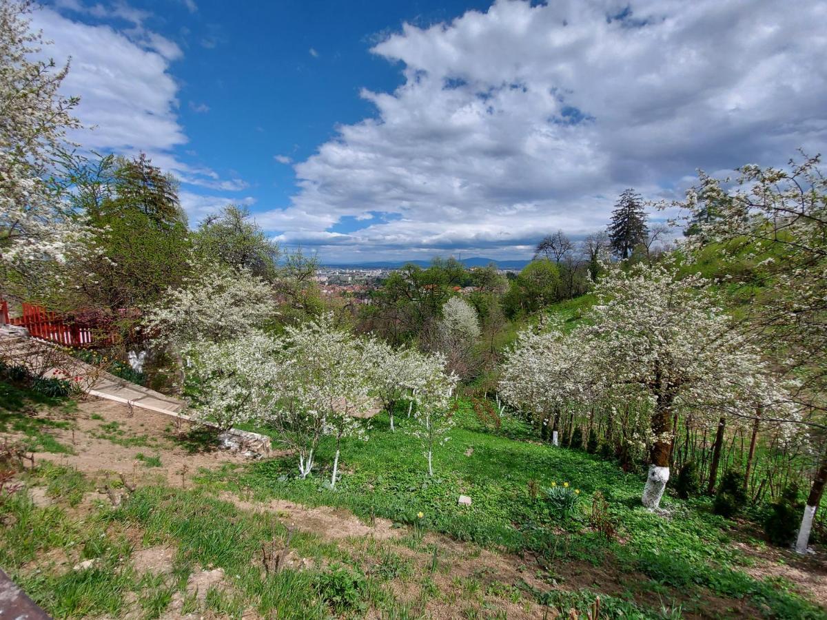 Apartament Matei Brašov Exteriér fotografie