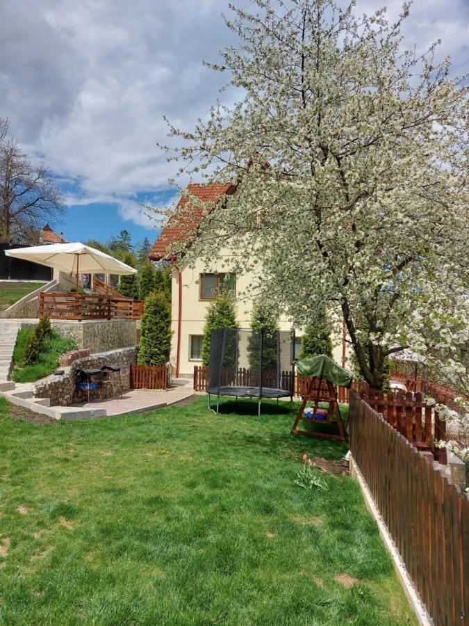 Apartament Matei Brašov Exteriér fotografie